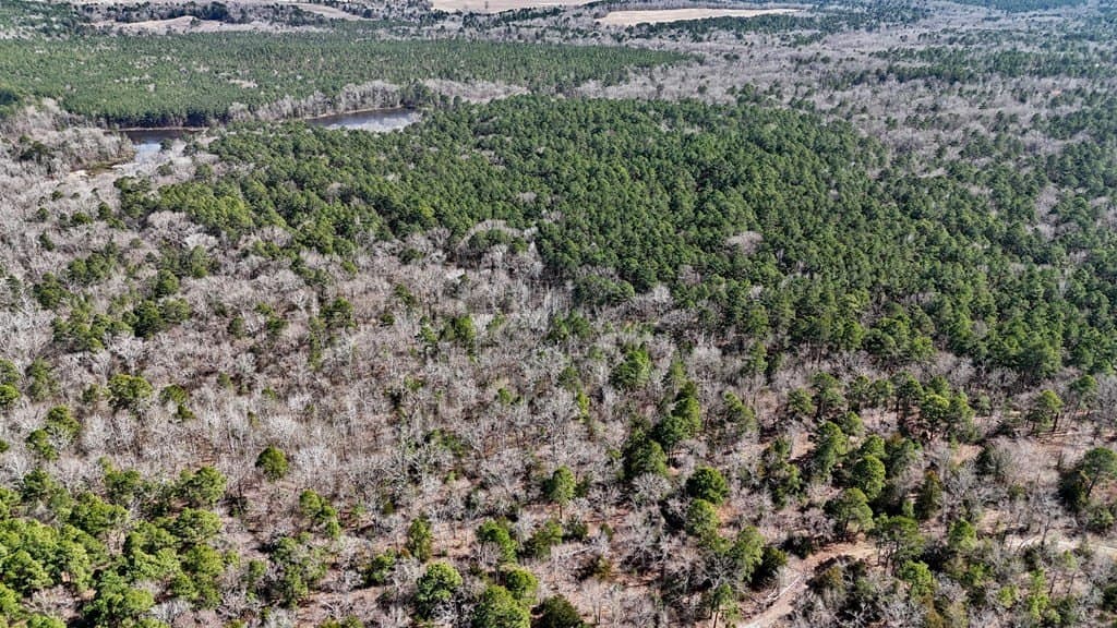 141.71 acres in ANDERSON County - photo 19