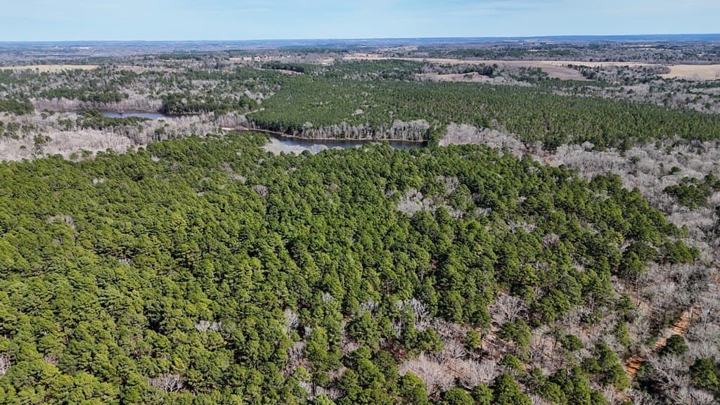 141.71 acres in ANDERSON County - photo 21