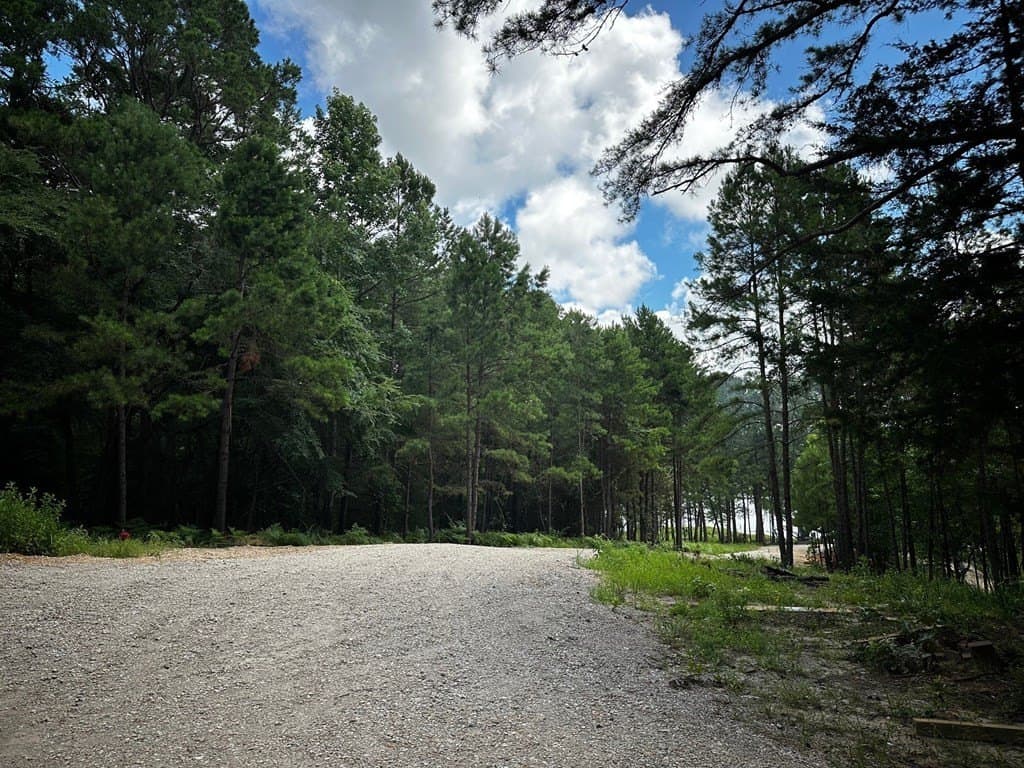 141.71 acres in ANDERSON County - photo 27