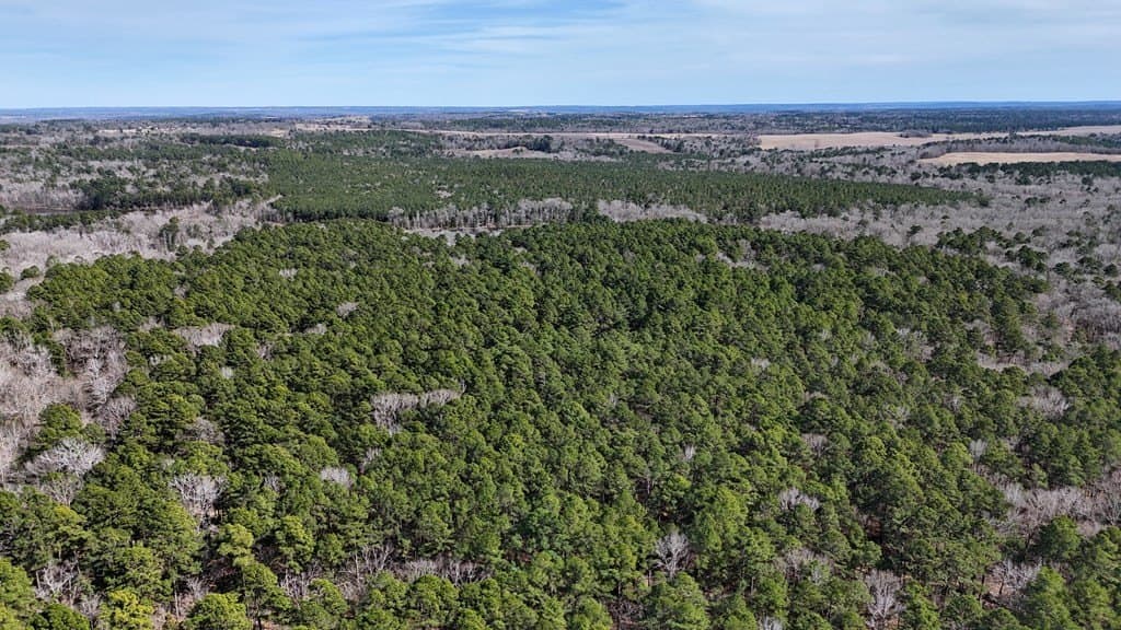 141.71 acres in ANDERSON County - photo 20