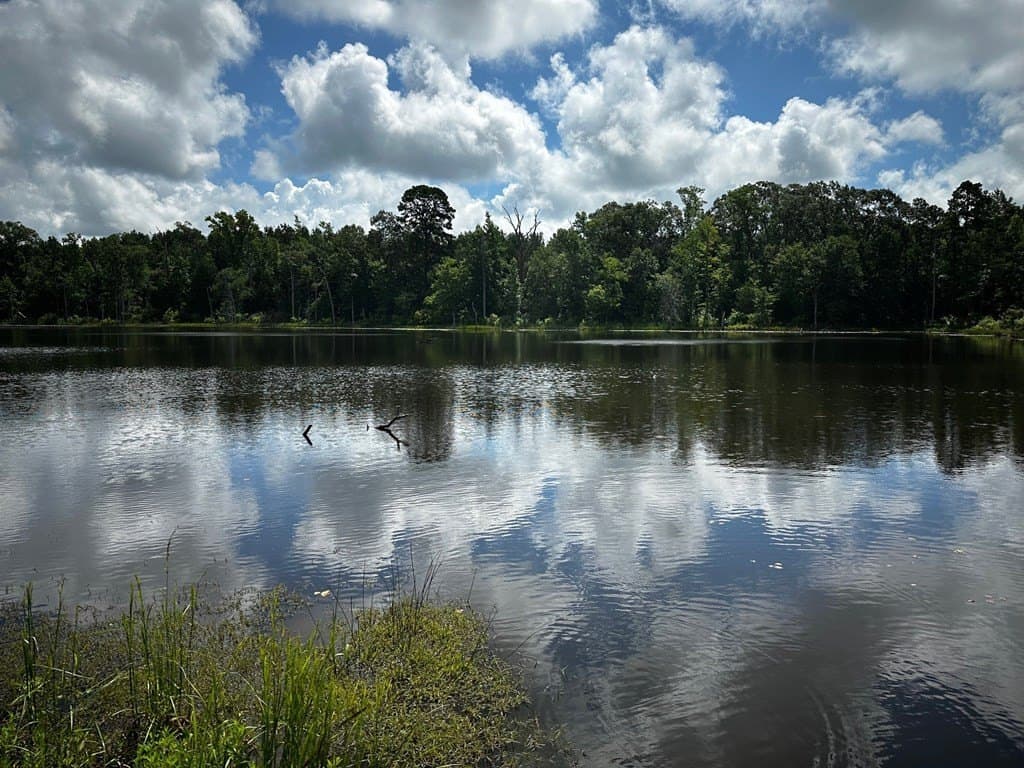 141.71 acres in ANDERSON County - photo 5