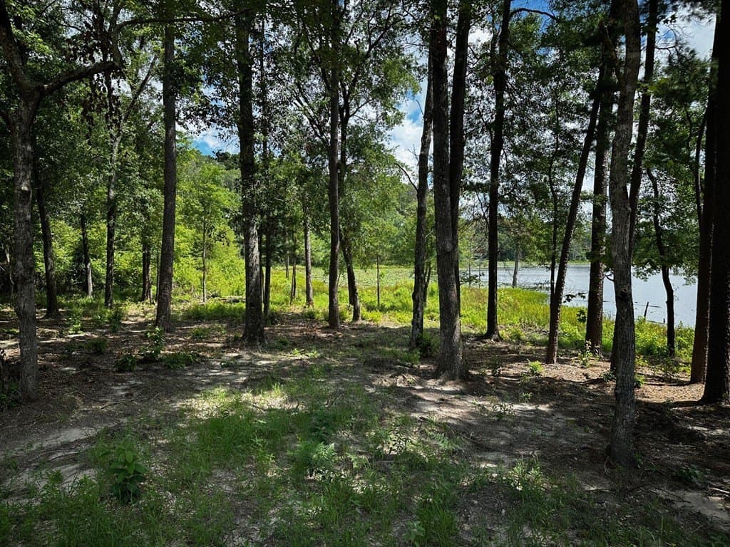 141.71 acres in ANDERSON County - photo 23