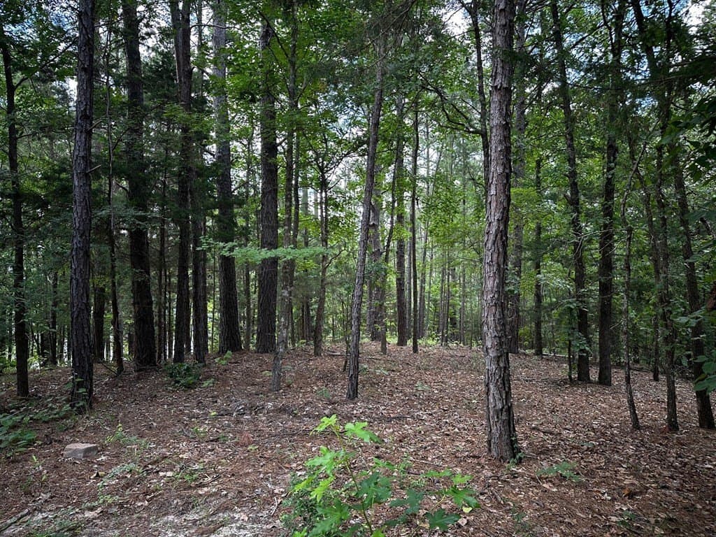 141.71 acres in ANDERSON County - photo 26