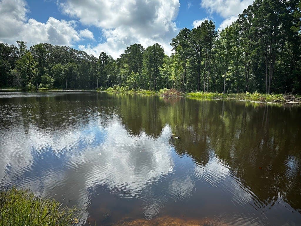 141.71 acres in ANDERSON County - photo 6