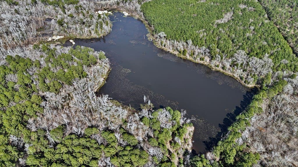 141.71 acres in ANDERSON County - photo 22