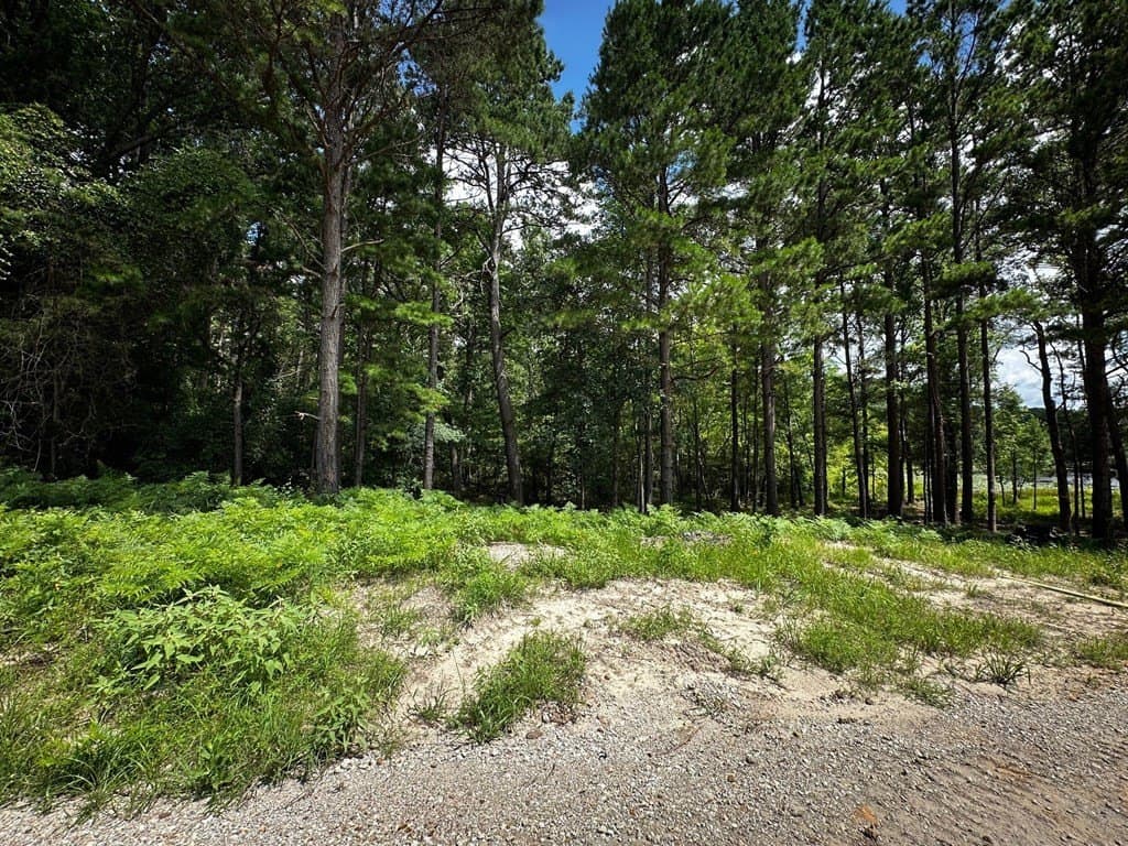 141.71 acres in ANDERSON County - photo 28