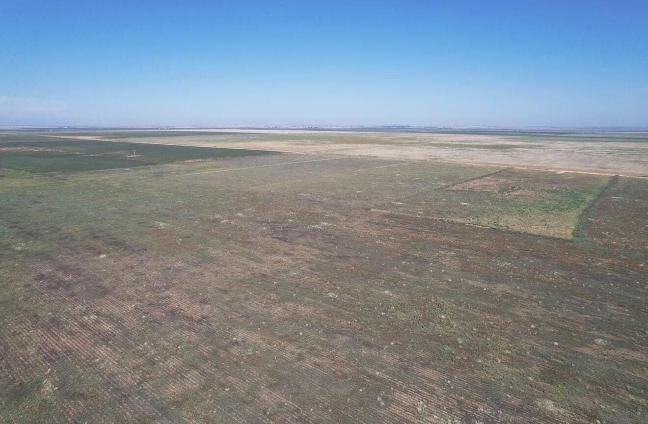 10 acres in Hockley County gallery image 4