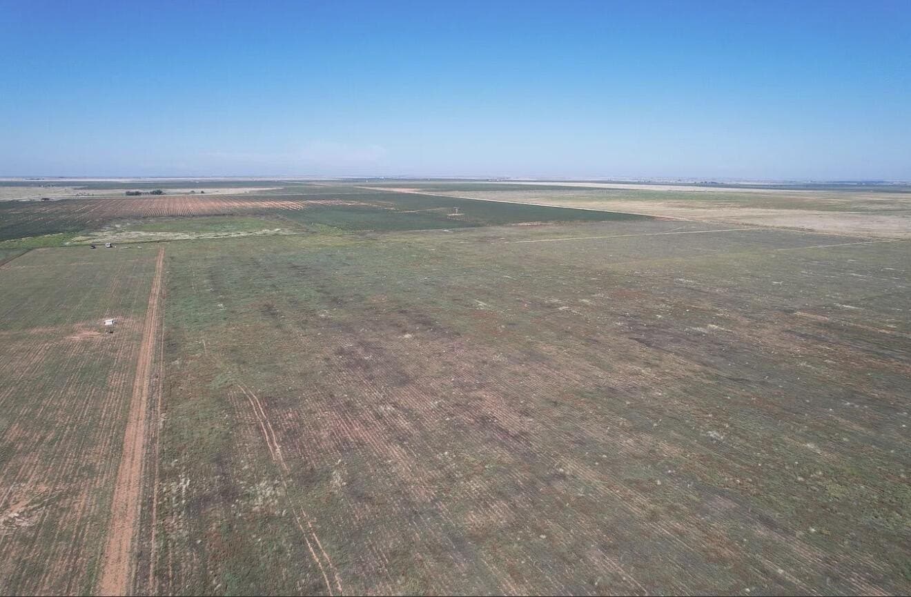 10 acres in Hockley County gallery image 3
