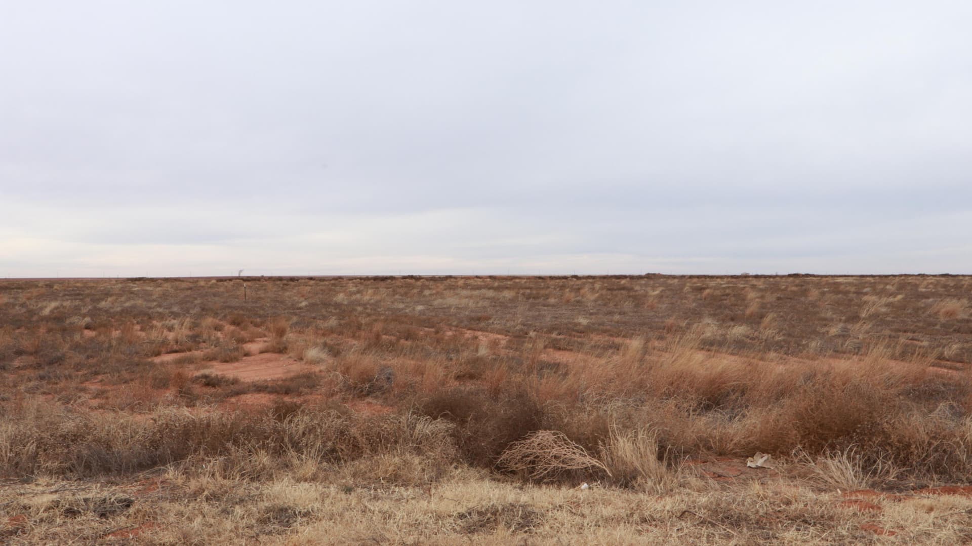 10 acres in Hockley County gallery image 2