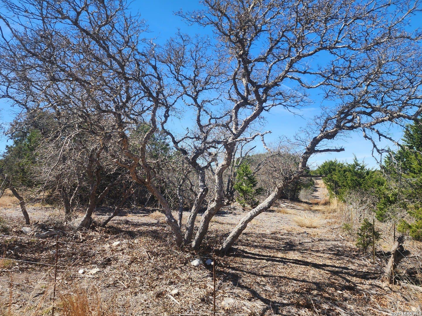 52.35 acres in Kimble County featured view