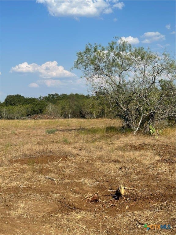 5.63 acres in Wilson County gallery image 4