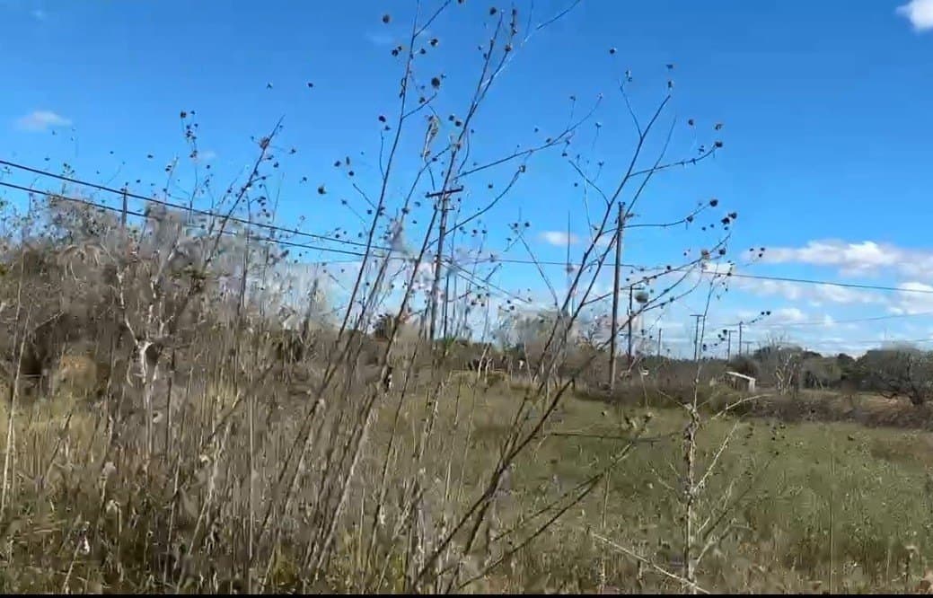 4.85 acres in Aransas County gallery image 3