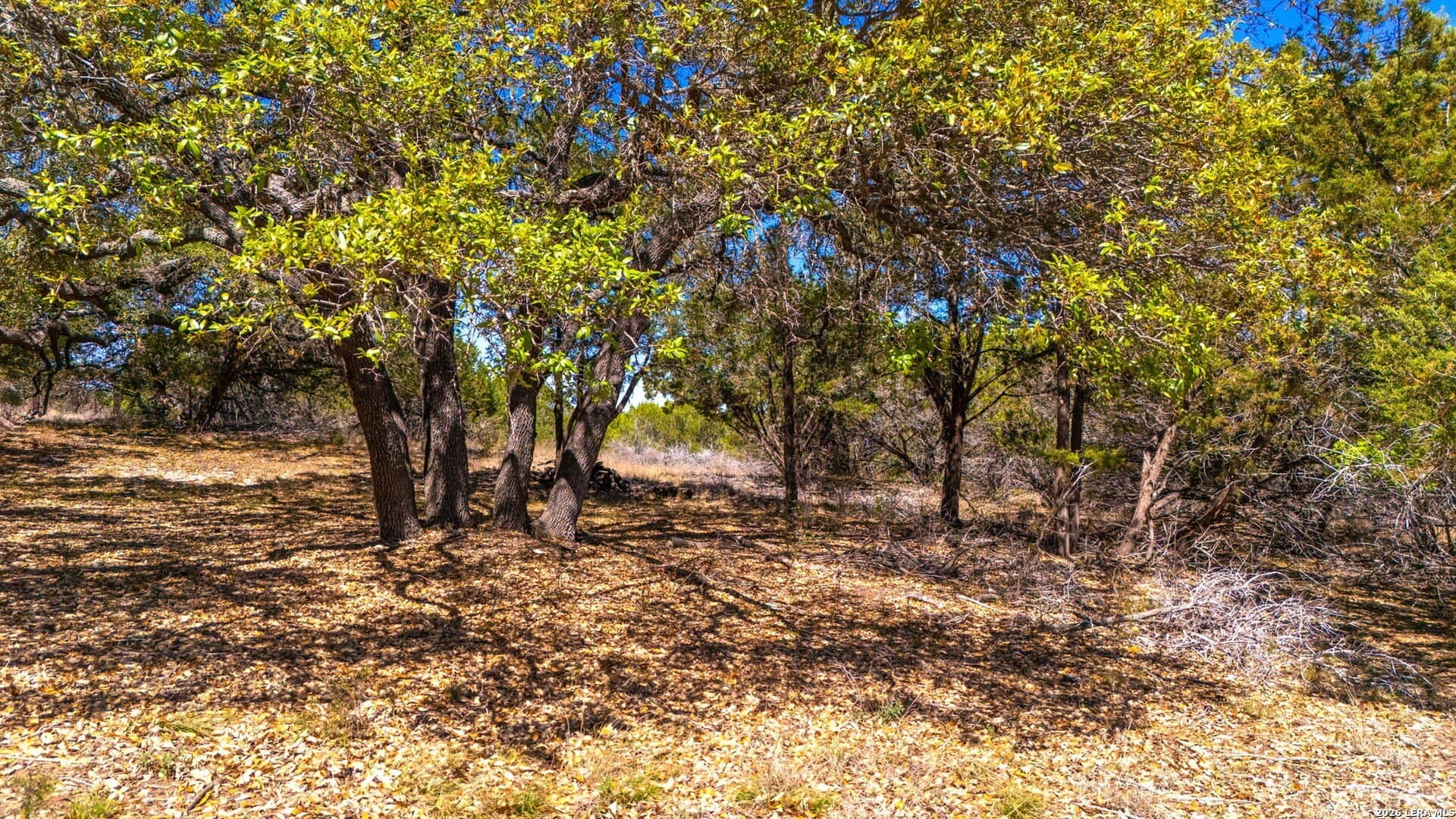 3.03 acres in Bandera County gallery image 2