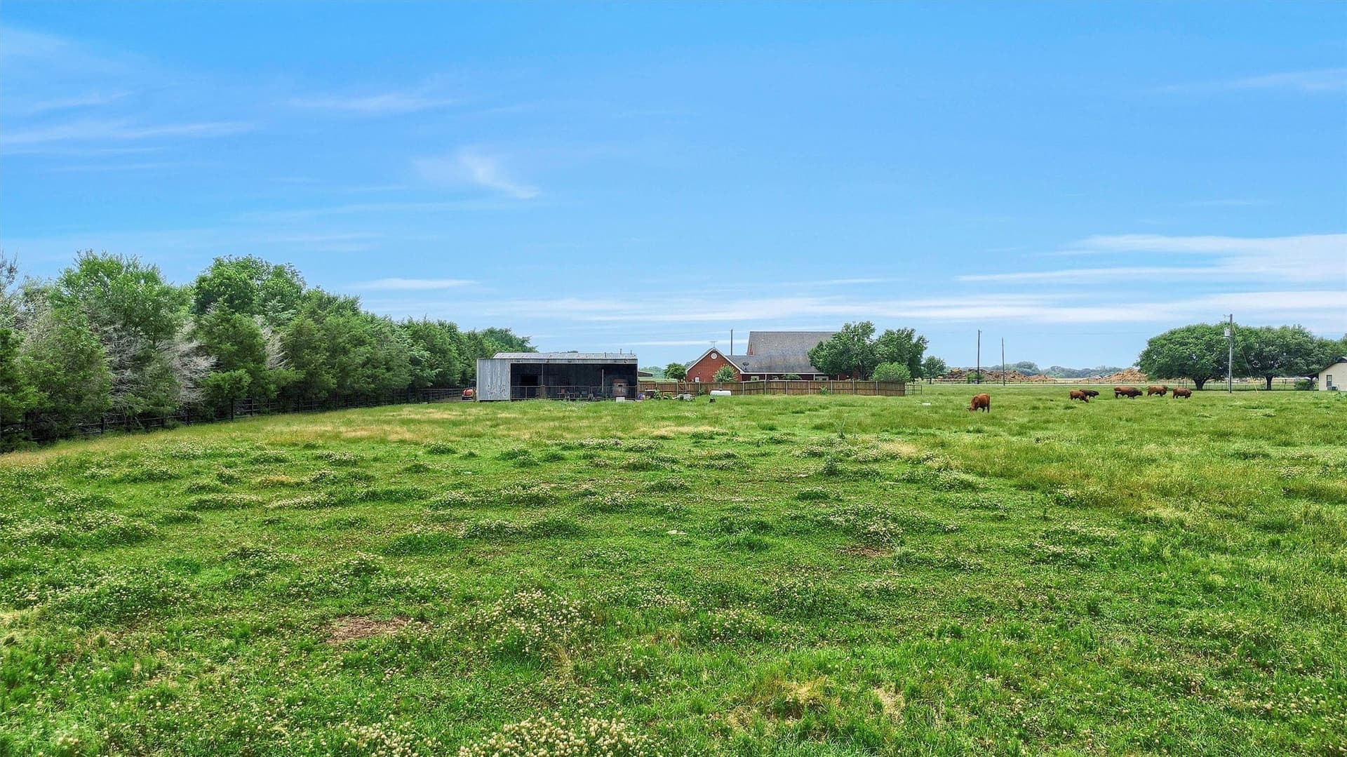 10 acres in Denton County - photo 6