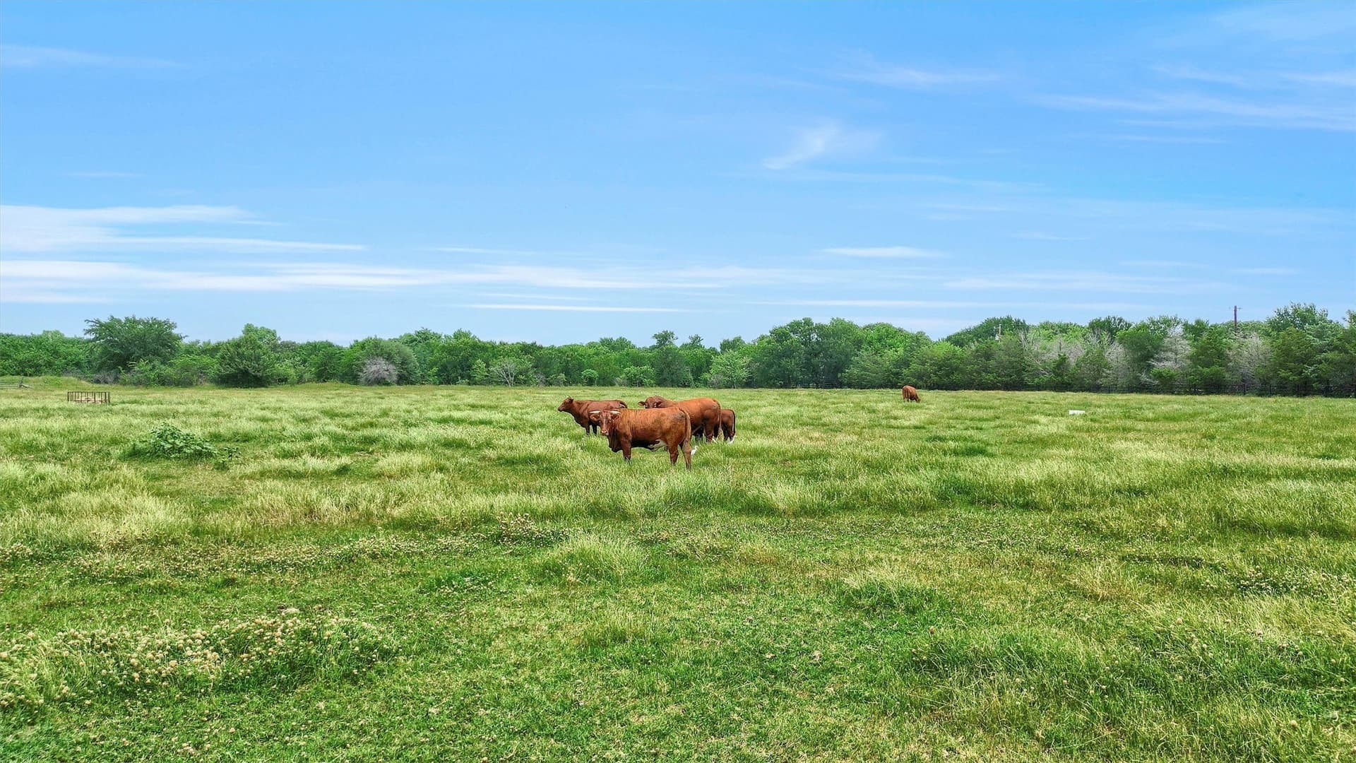 10 acres in Denton County - photo 7