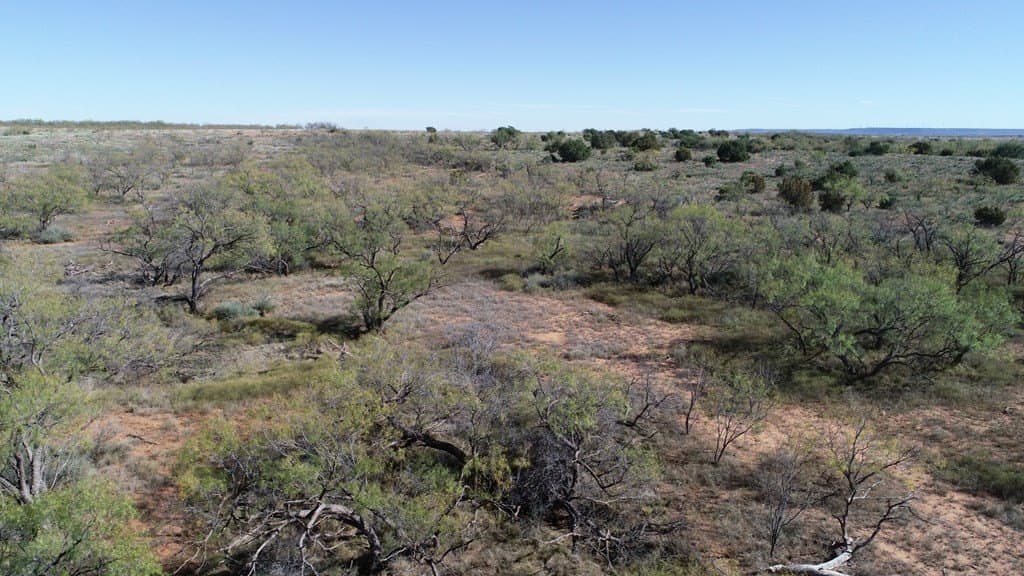 160 acres in Fisher County gallery image 3