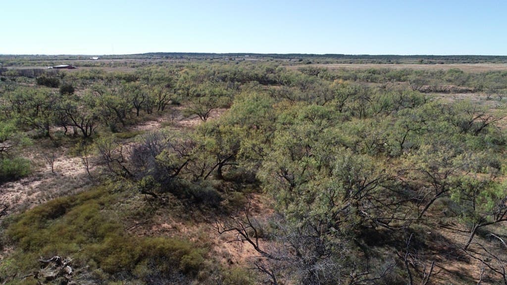 160 acres in Fisher County gallery image 4