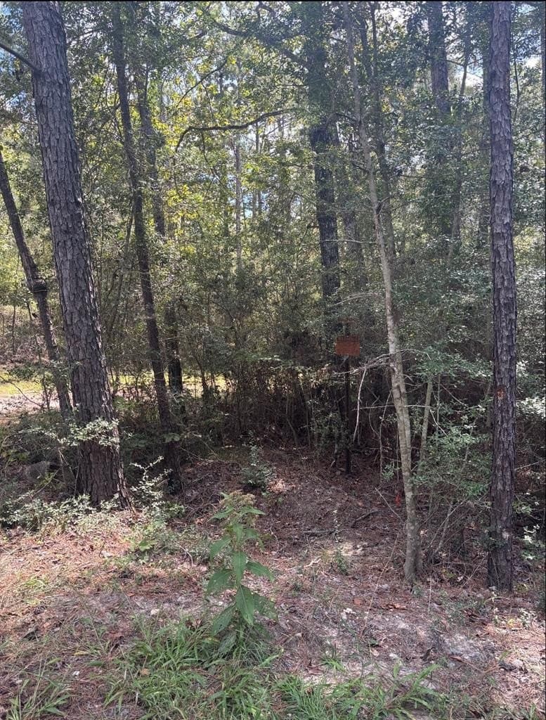 0.26 acres in Texas County - photo 4