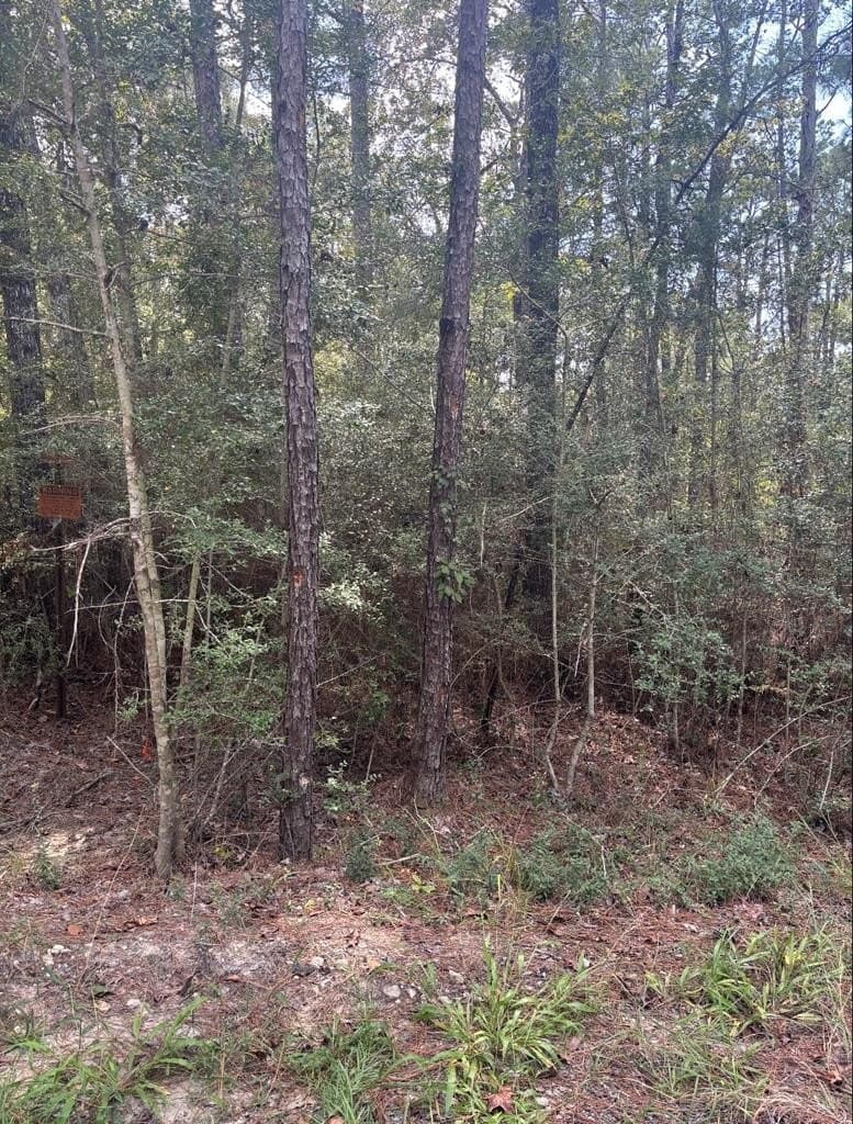 0.26 acres in Texas County - photo 3