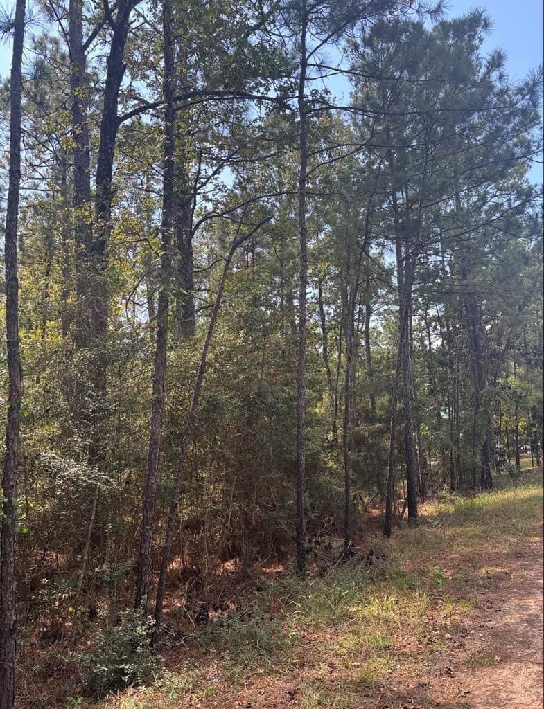 0.26 acres in Texas County - photo 5