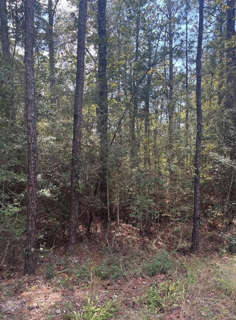 0.26 acres in Texas County - photo 2