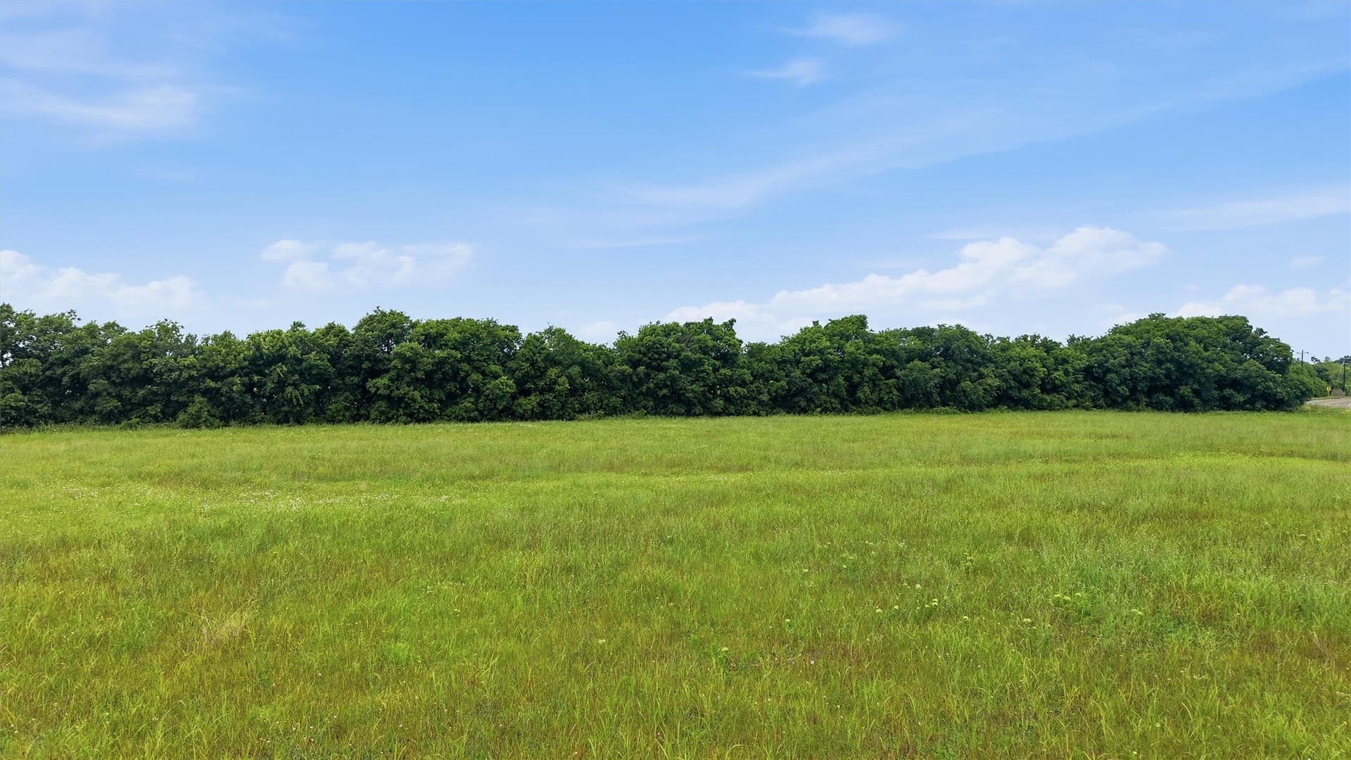 4.88 acres in Collin County - photo 17