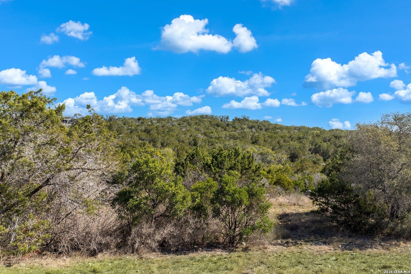 2.01 acres in Medina County gallery image 4