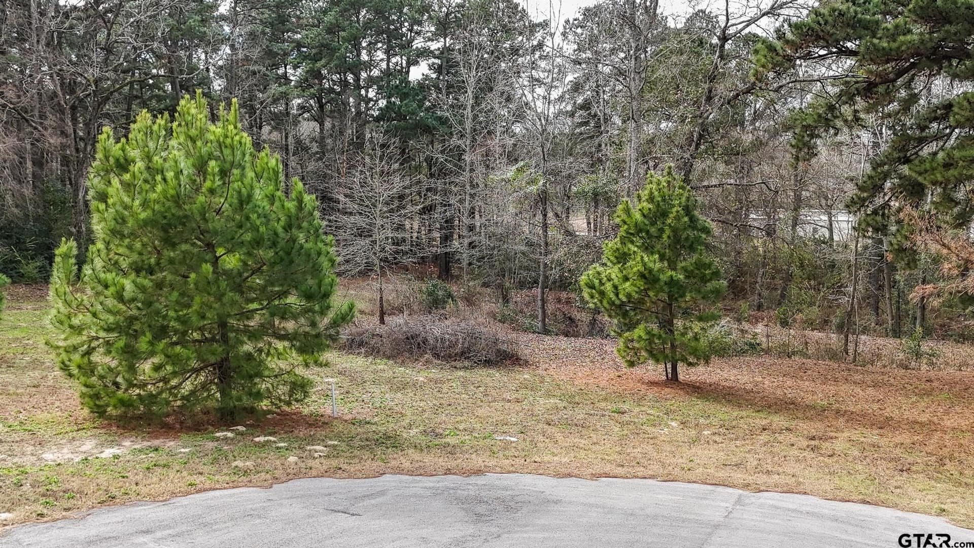 1.83 acres in Henderson County gallery image 3