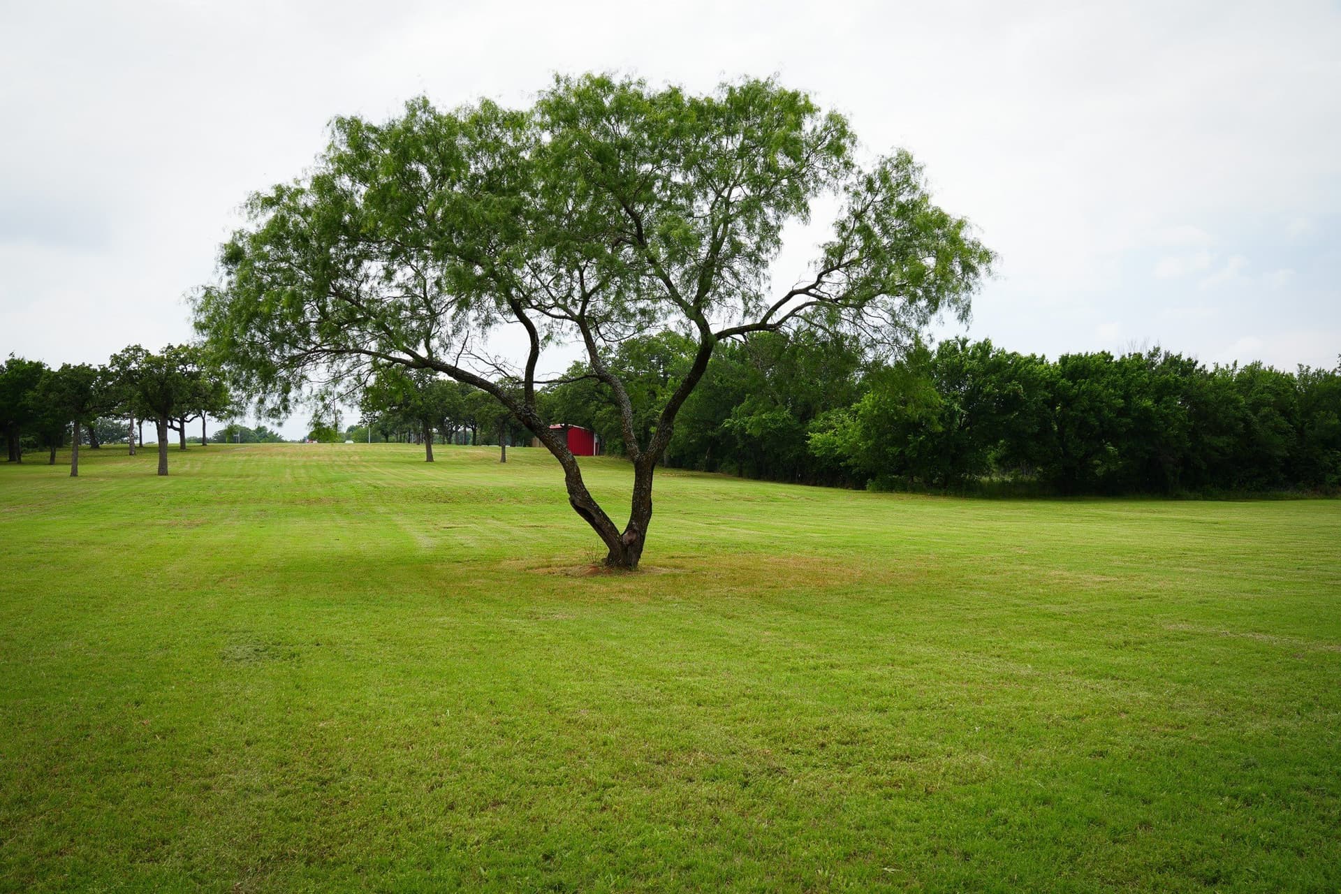 5.04 acres in Johnson County - photo 16
