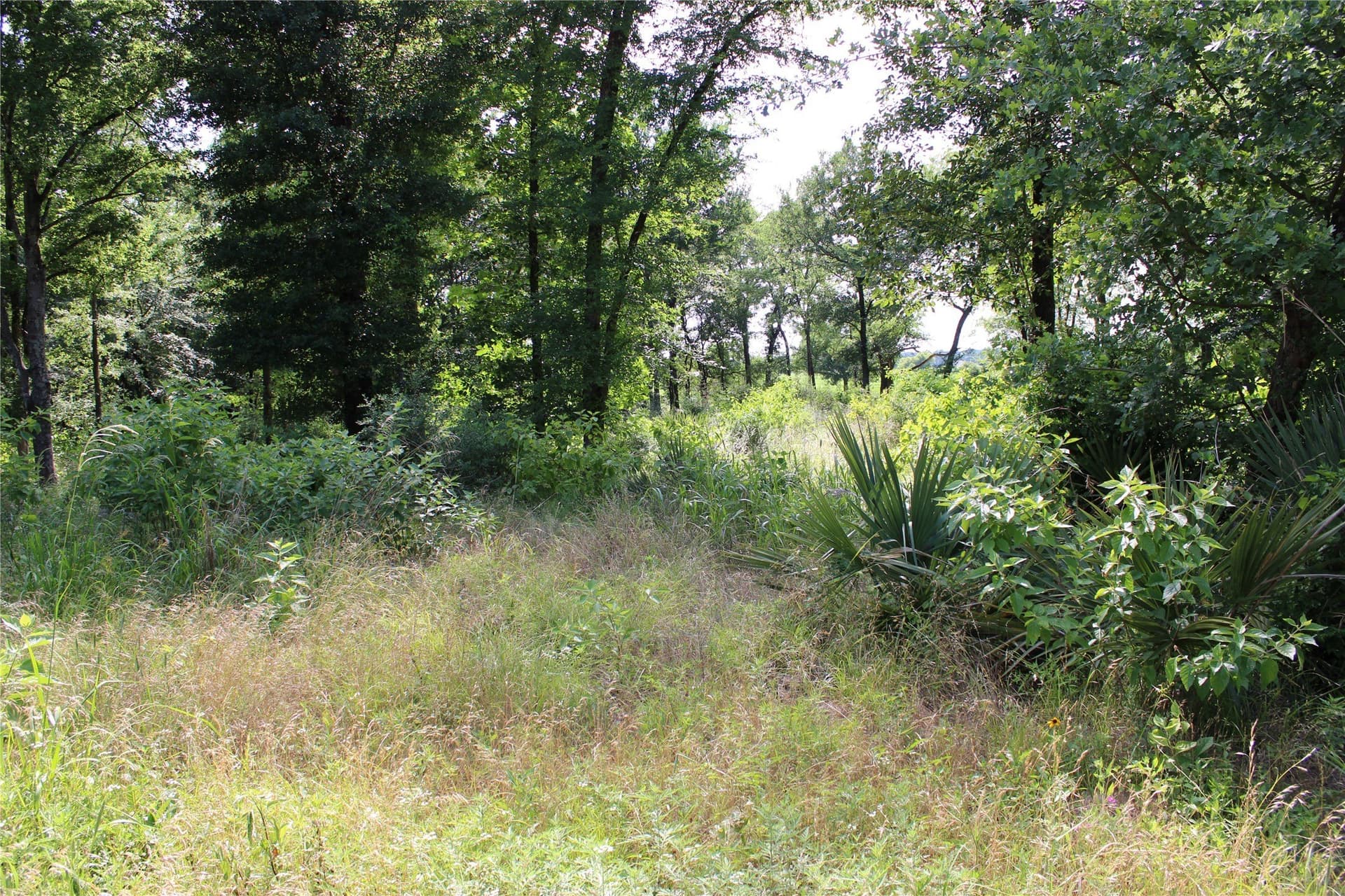 0.95 acres in Kaufman County - photo 12