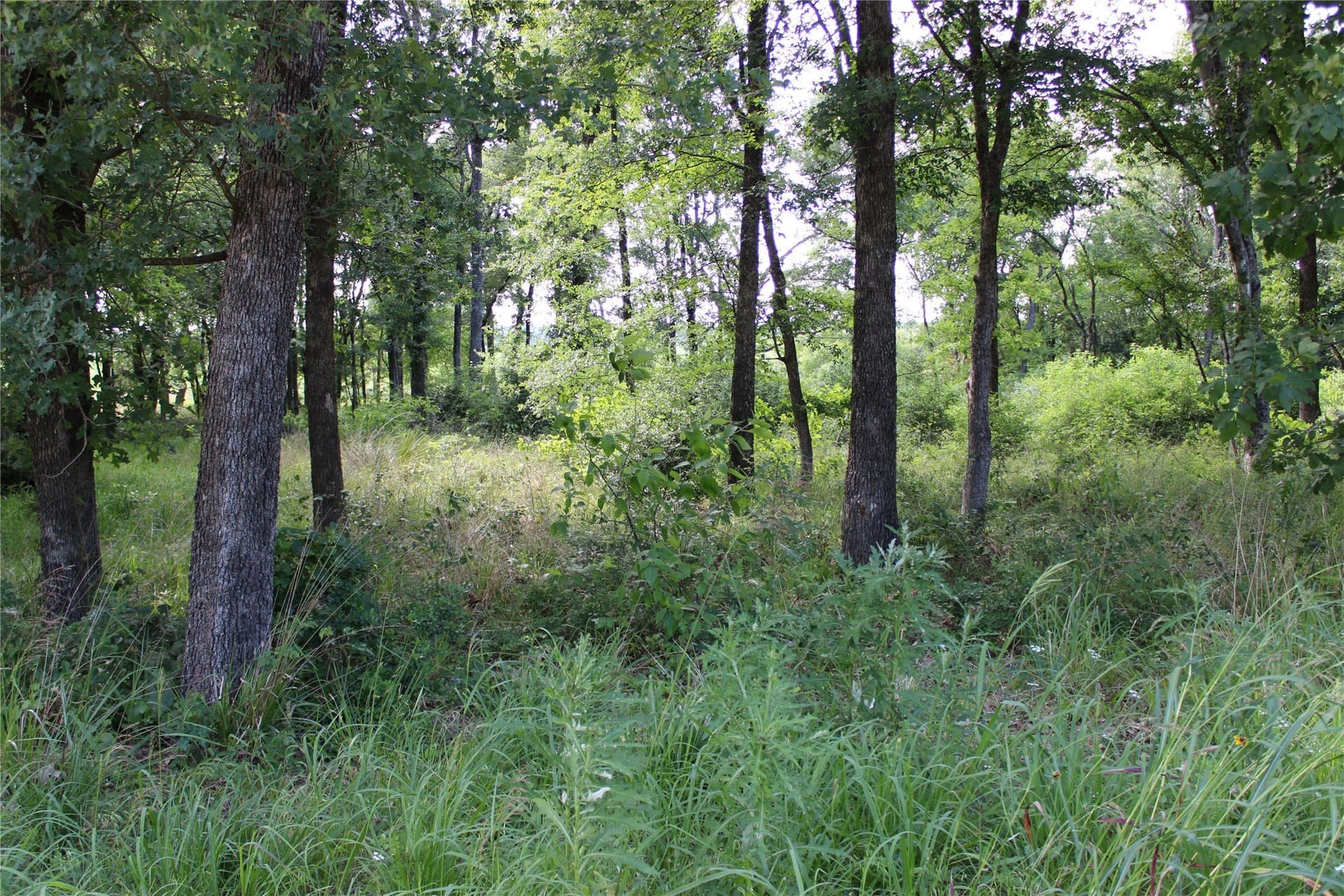 0.95 acres in Kaufman County - photo 8