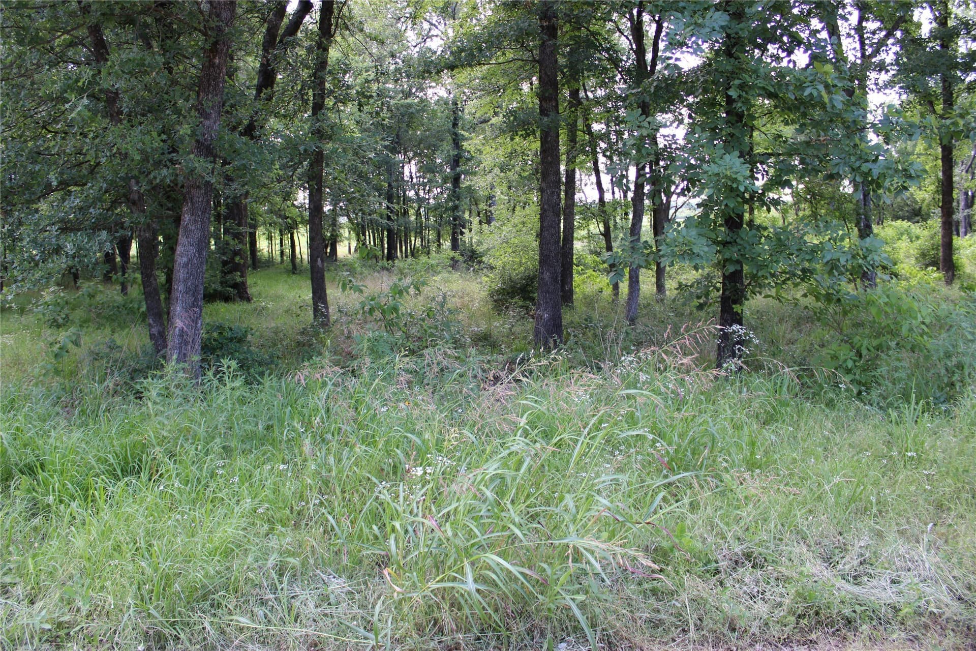 0.95 acres in Kaufman County - photo 5