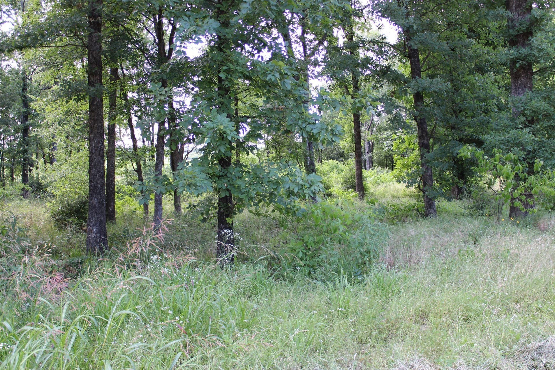 0.95 acres in Kaufman County - photo 7