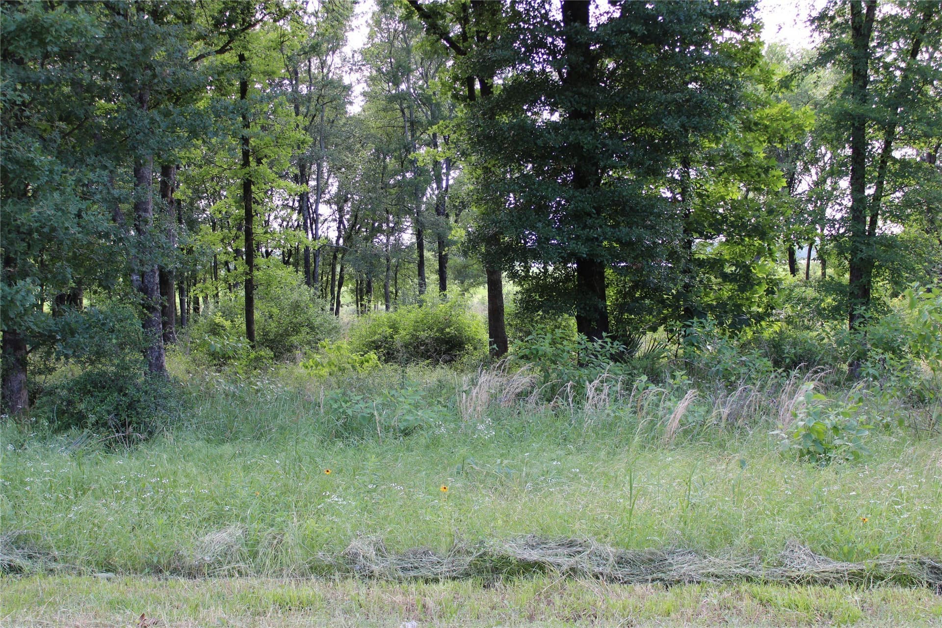 0.95 acres in Kaufman County - photo 6