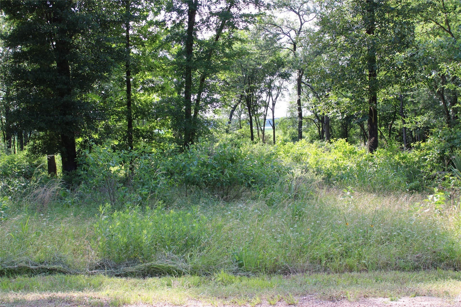 0.95 acres in Kaufman County - photo 4