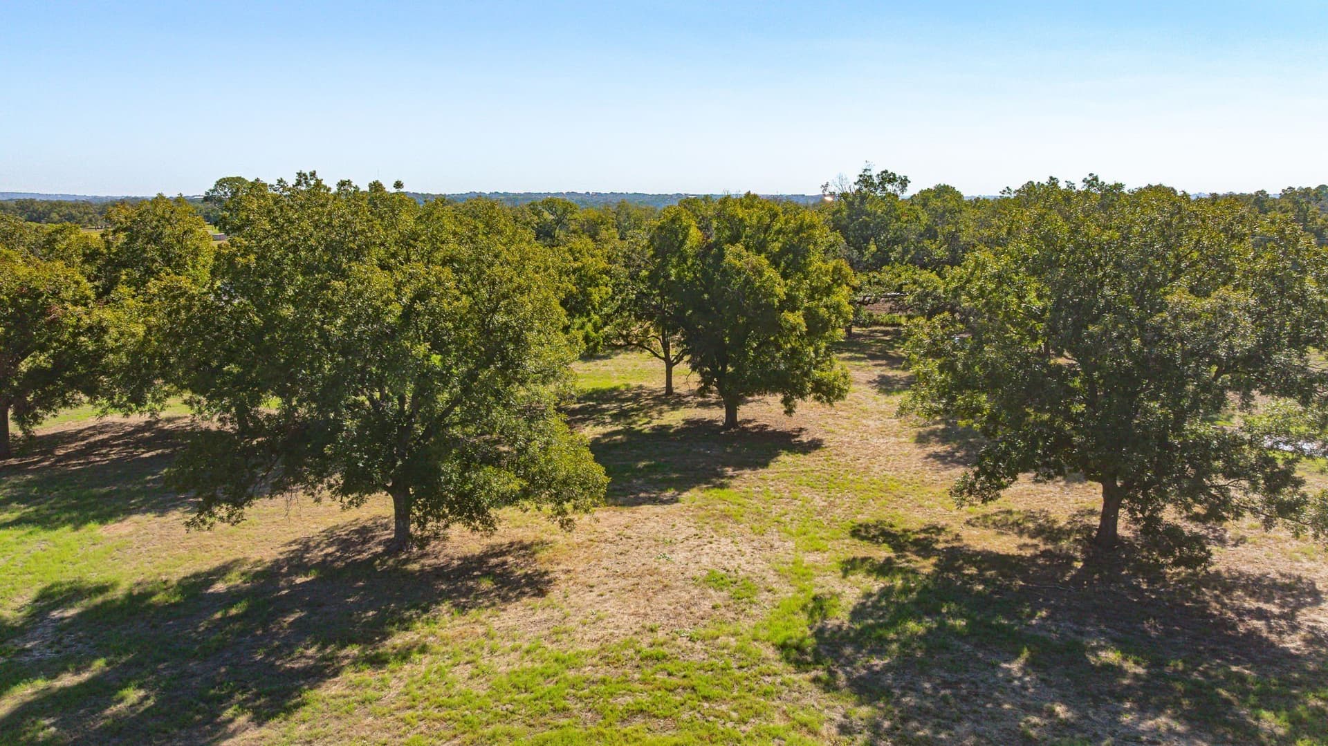 166.28 acres in Parker County - photo 5