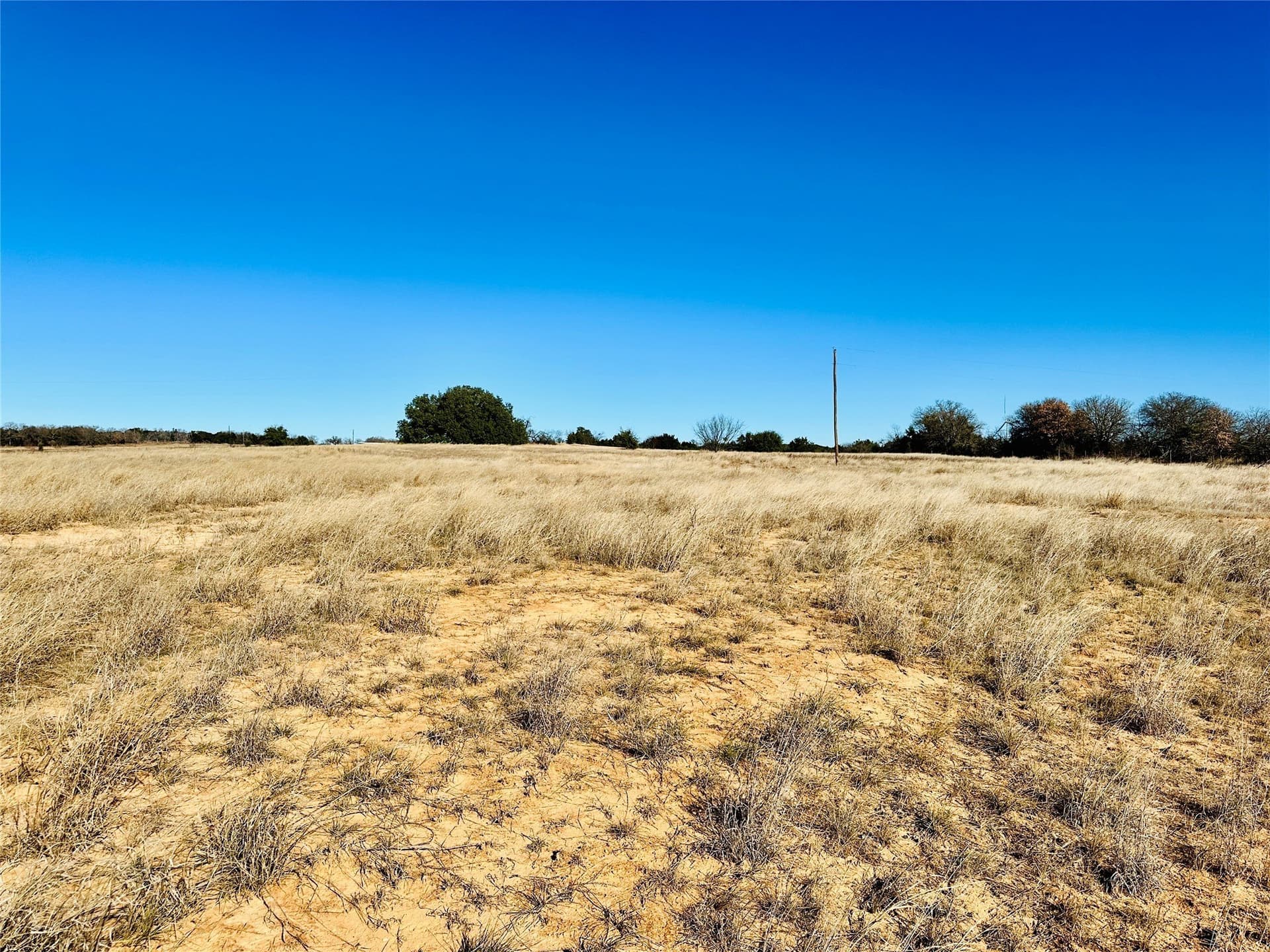 40.61 acres in Callahan County - photo 15