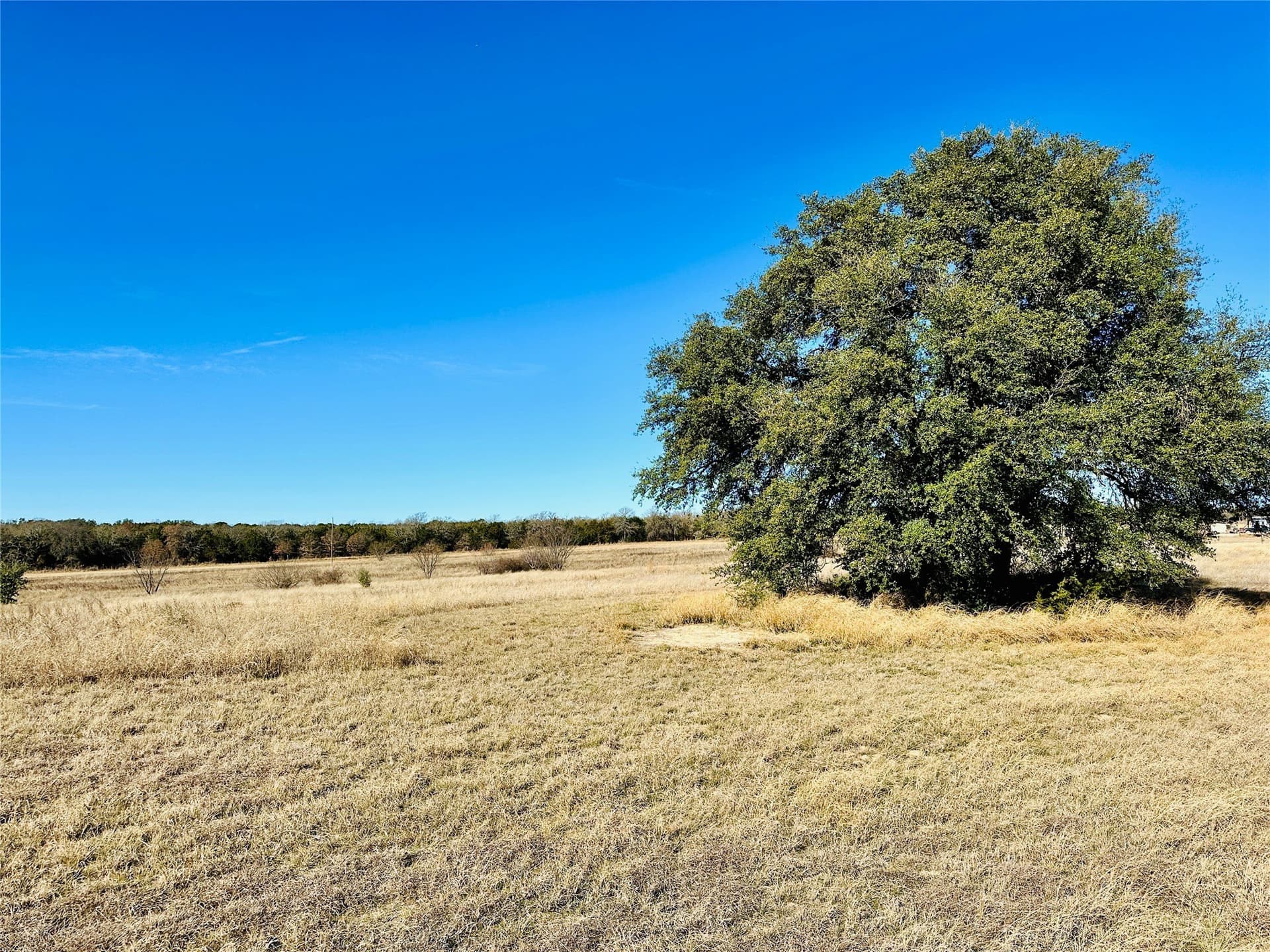 40.61 acres in Callahan County - photo 26