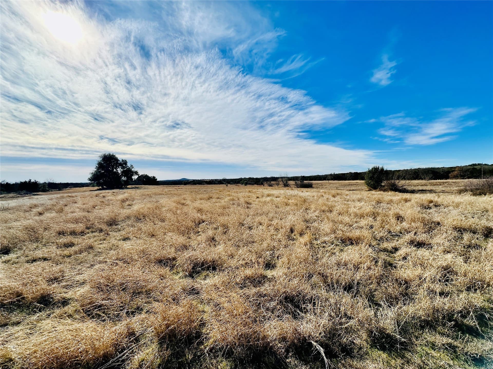 40.61 acres in Callahan County gallery image 3