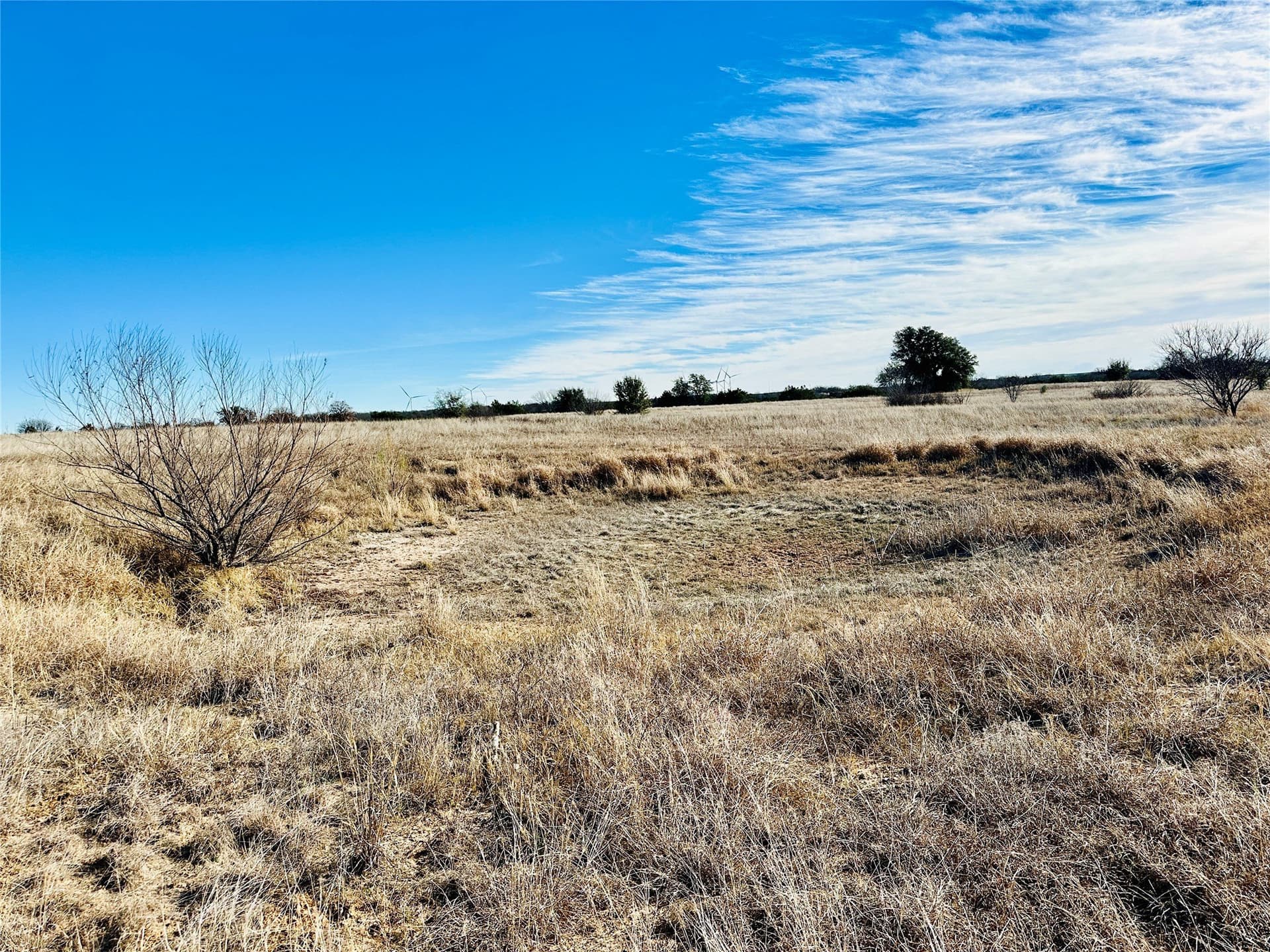 40.61 acres in Callahan County - photo 11