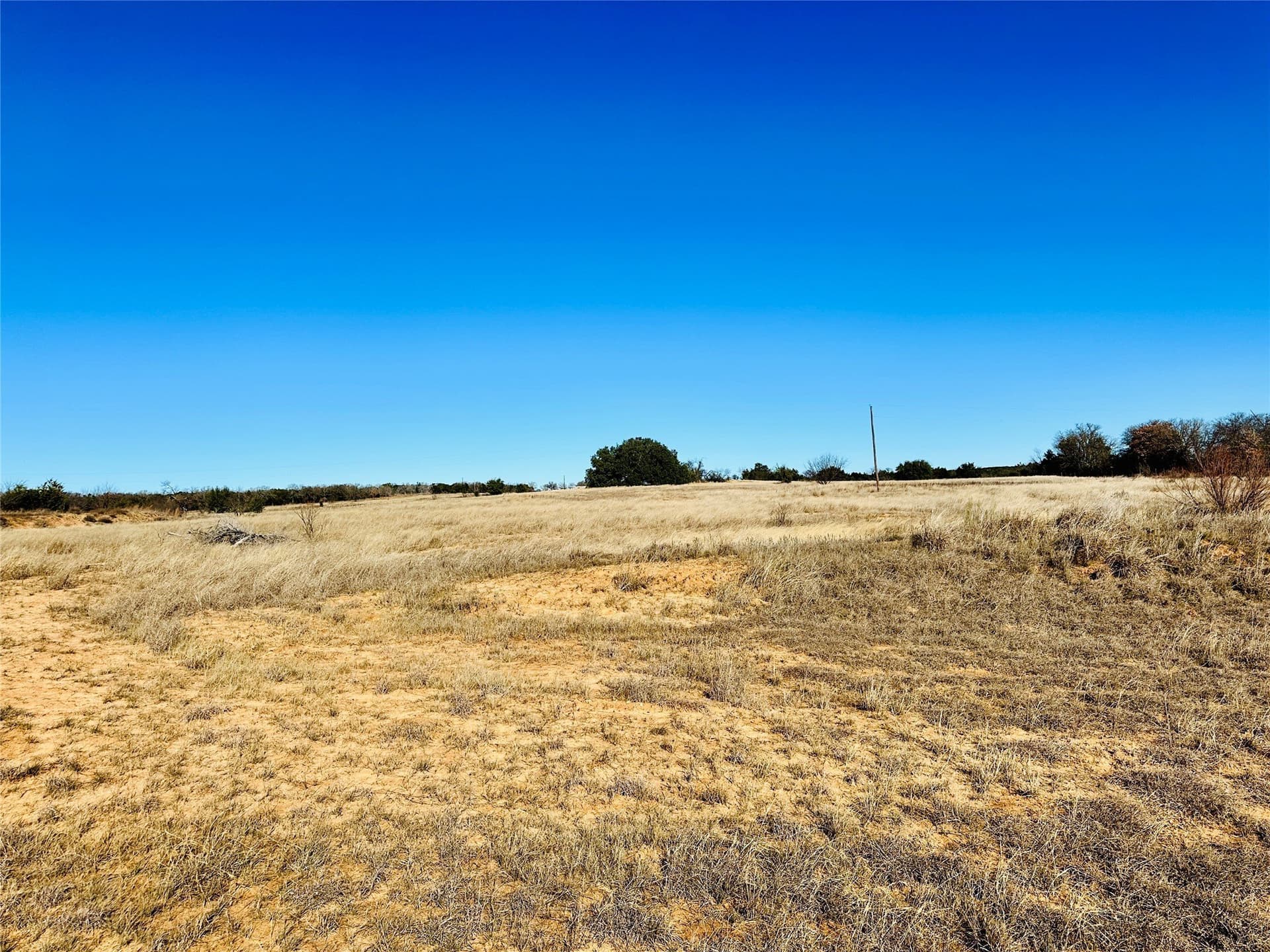 40.61 acres in Callahan County - photo 13
