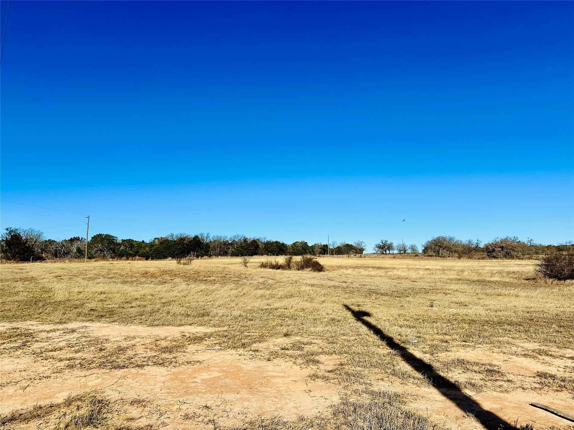 40.61 acres in Callahan County gallery image 4