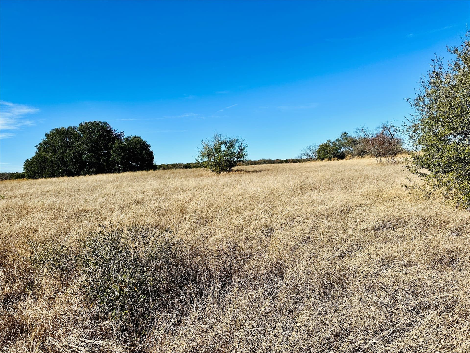 40.61 acres in Callahan County - photo 20