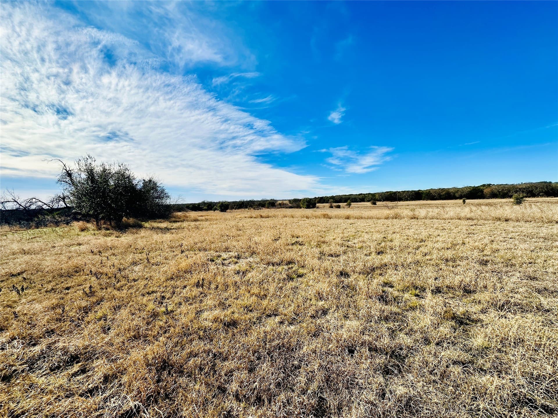 40.61 acres in Callahan County - photo 23