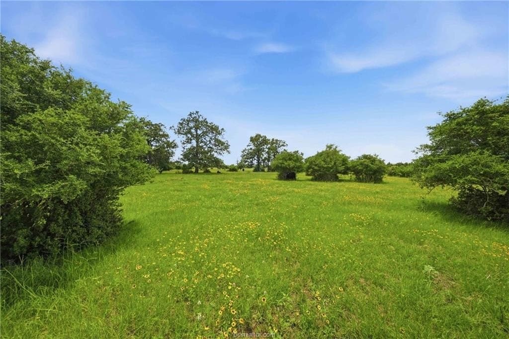 13.99 acres in Robertson County featured view