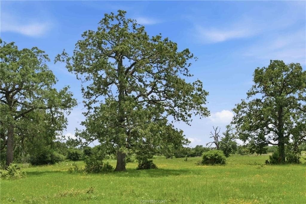13.99 acres in Robertson County gallery image 3