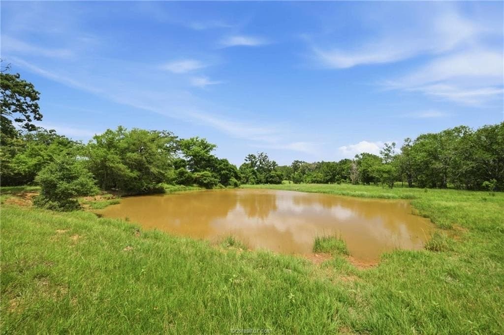 13.99 acres in Robertson County gallery image 4