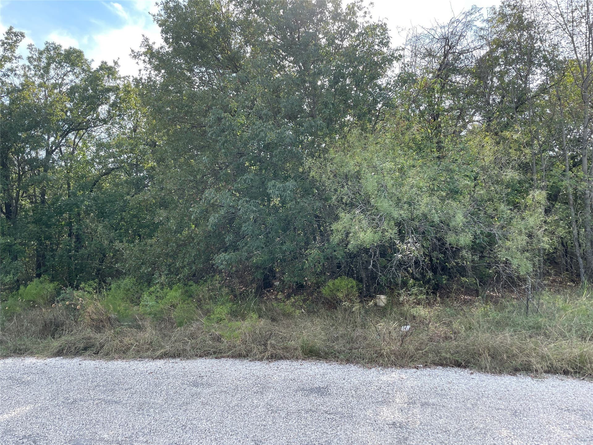 0.38 acres in Wise County gallery image 2