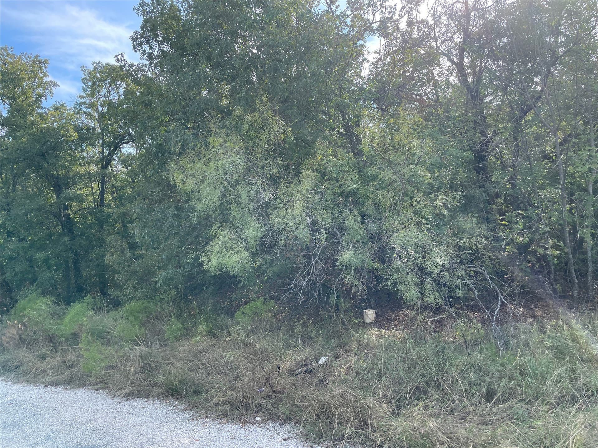 0.38 acres in Wise County gallery image 4