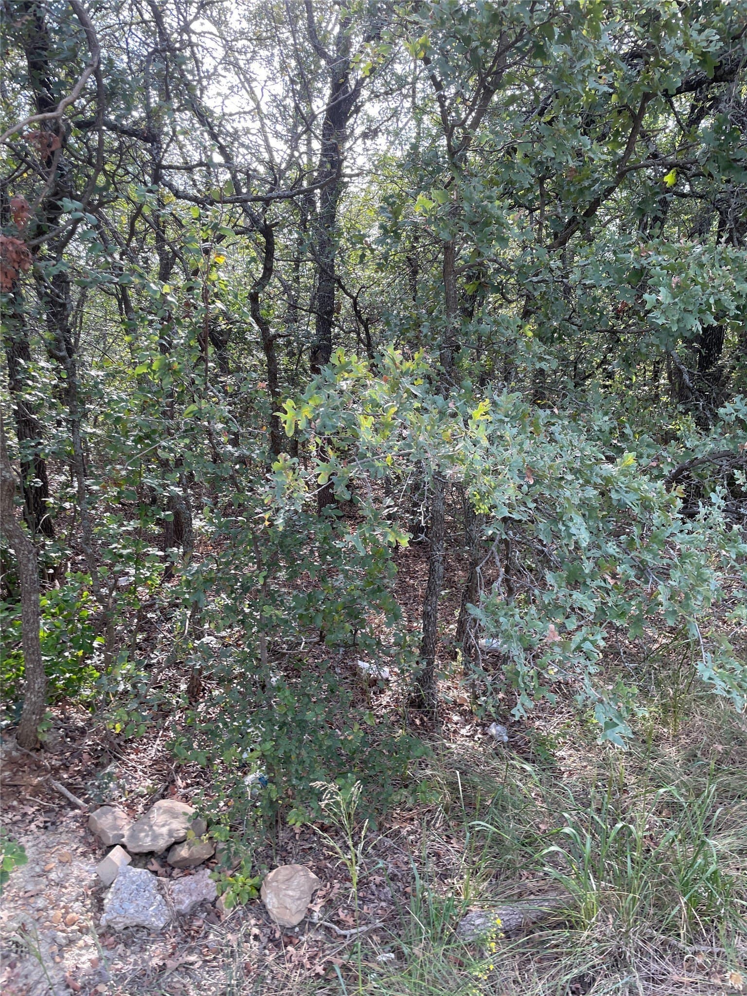 0.38 acres in Wise County featured view